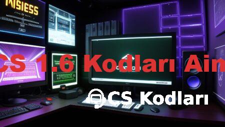 CS 1.6 Kodları Aim