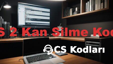 CS 2 Kan Silme Kodu