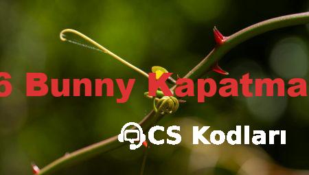 CS 1.6 Bunny Kapatma Kodu
