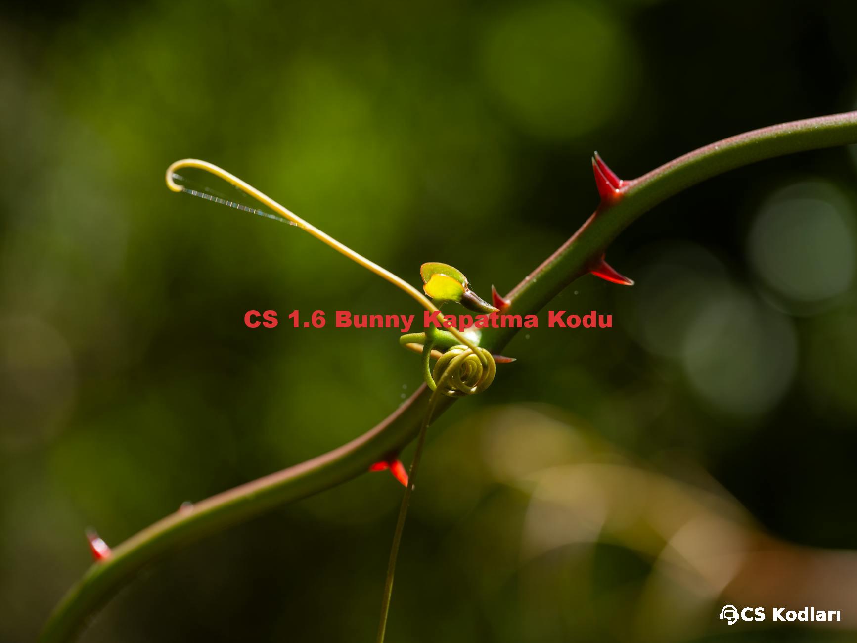 CS 1.6 Bunny Kapatma Kodu