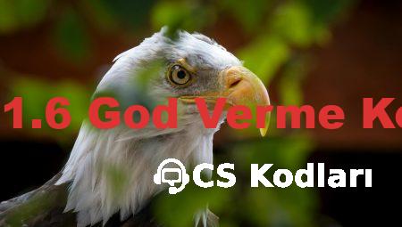CS 1.6 God Verme Kodu