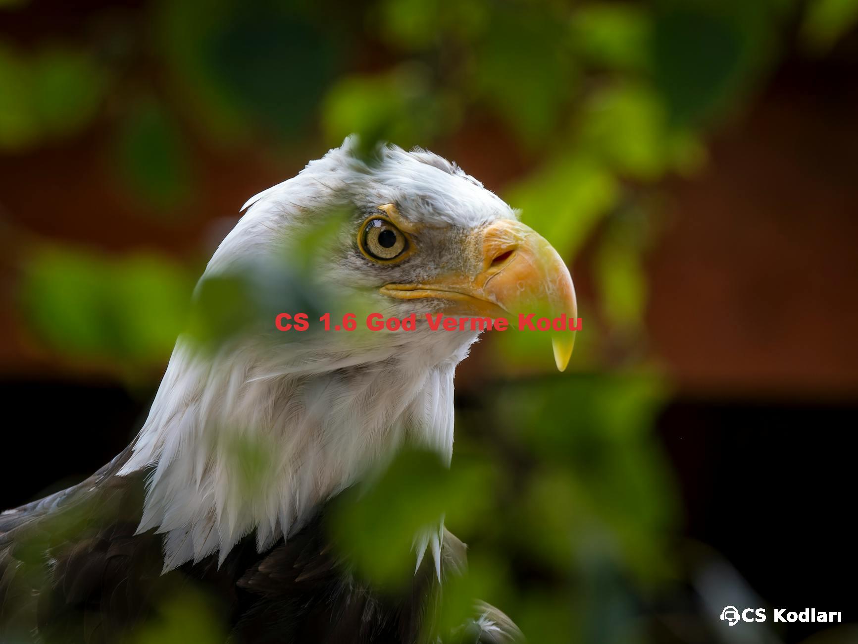 CS 1.6 God Verme Kodu