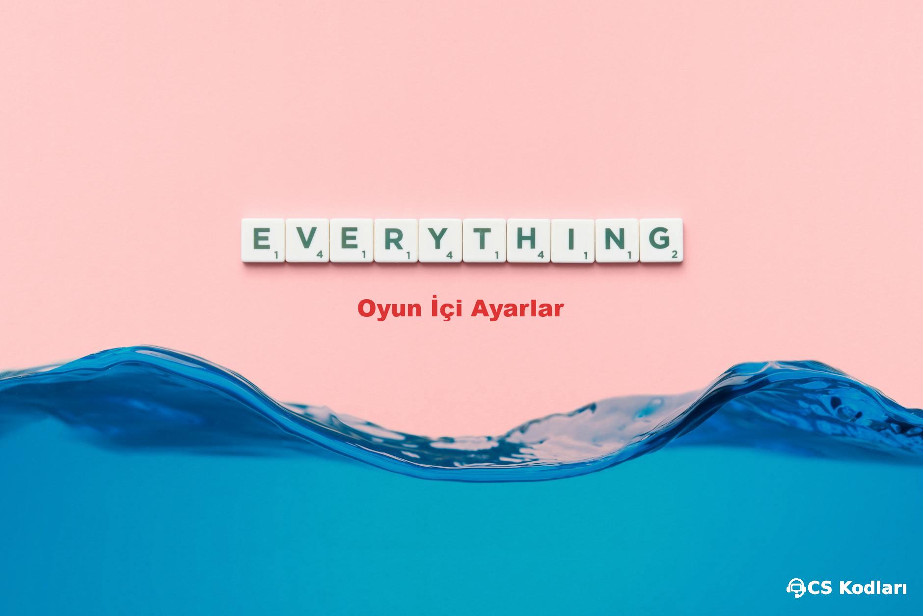 Oyun İçi Ayarlar