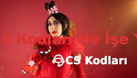 CS 1.6 Kodları Ne İşe Yarar
