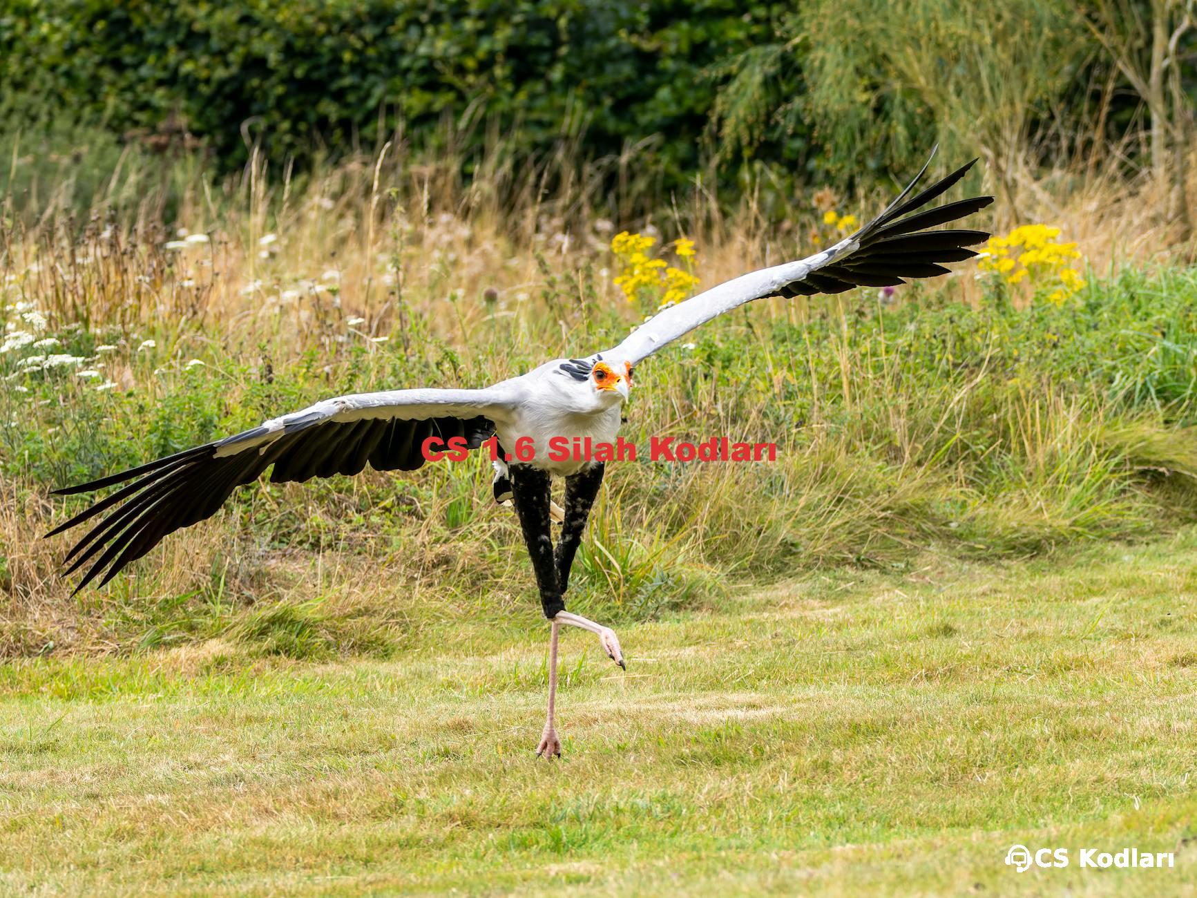 CS 1.6 Silah Kodları