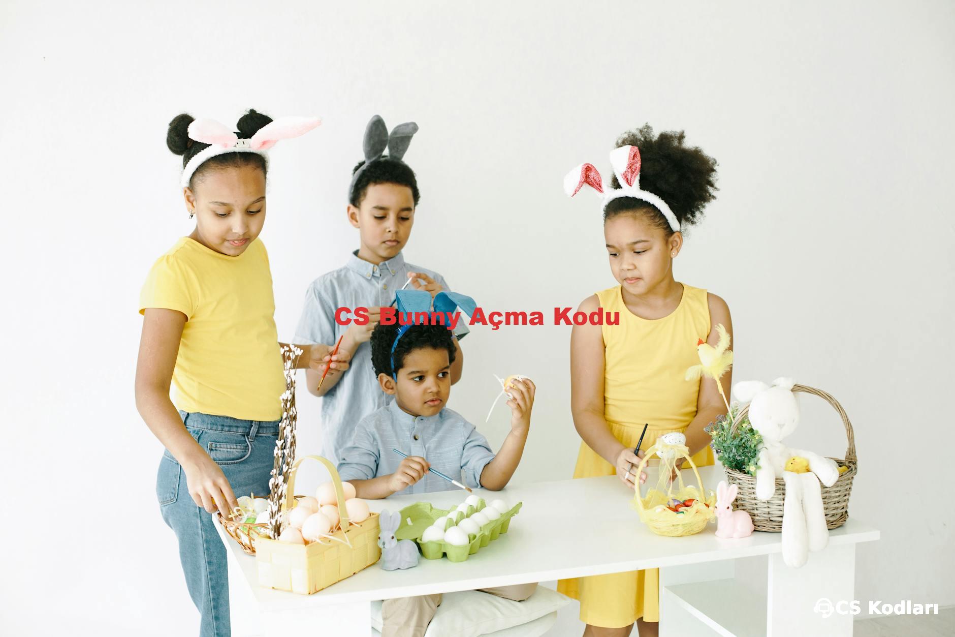 CS Bunny Açma Kodu
