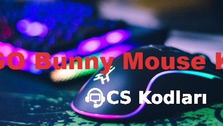CS:GO Bunny Mouse Kodu