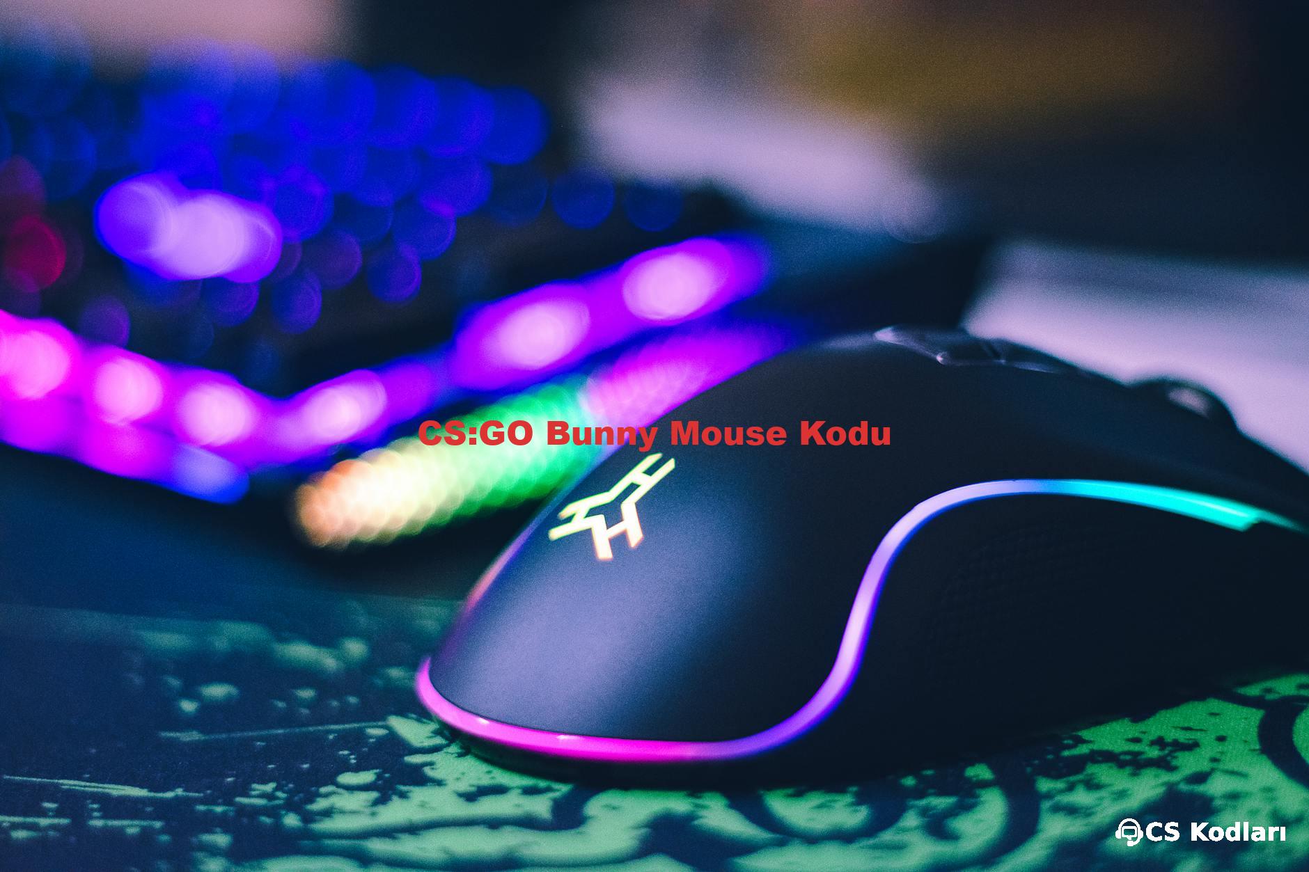 CS:GO Bunny Mouse Kodu