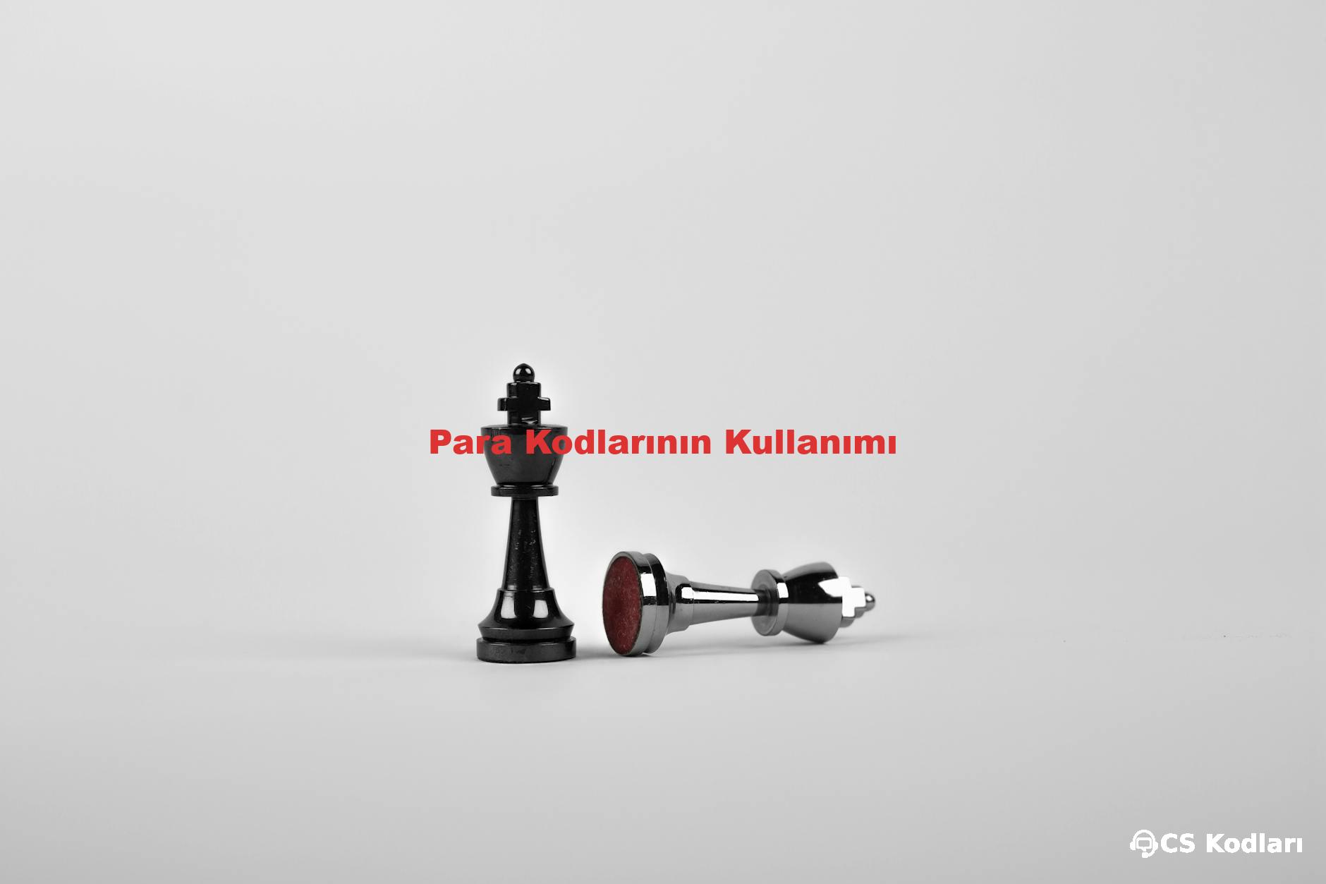 Para Kodlarının Kullanımı