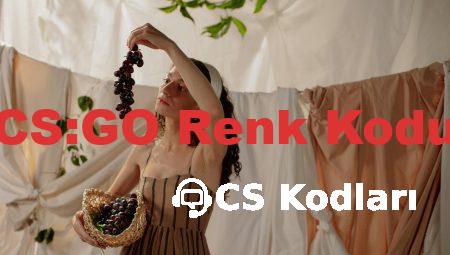 CS:GO Renk Kodu