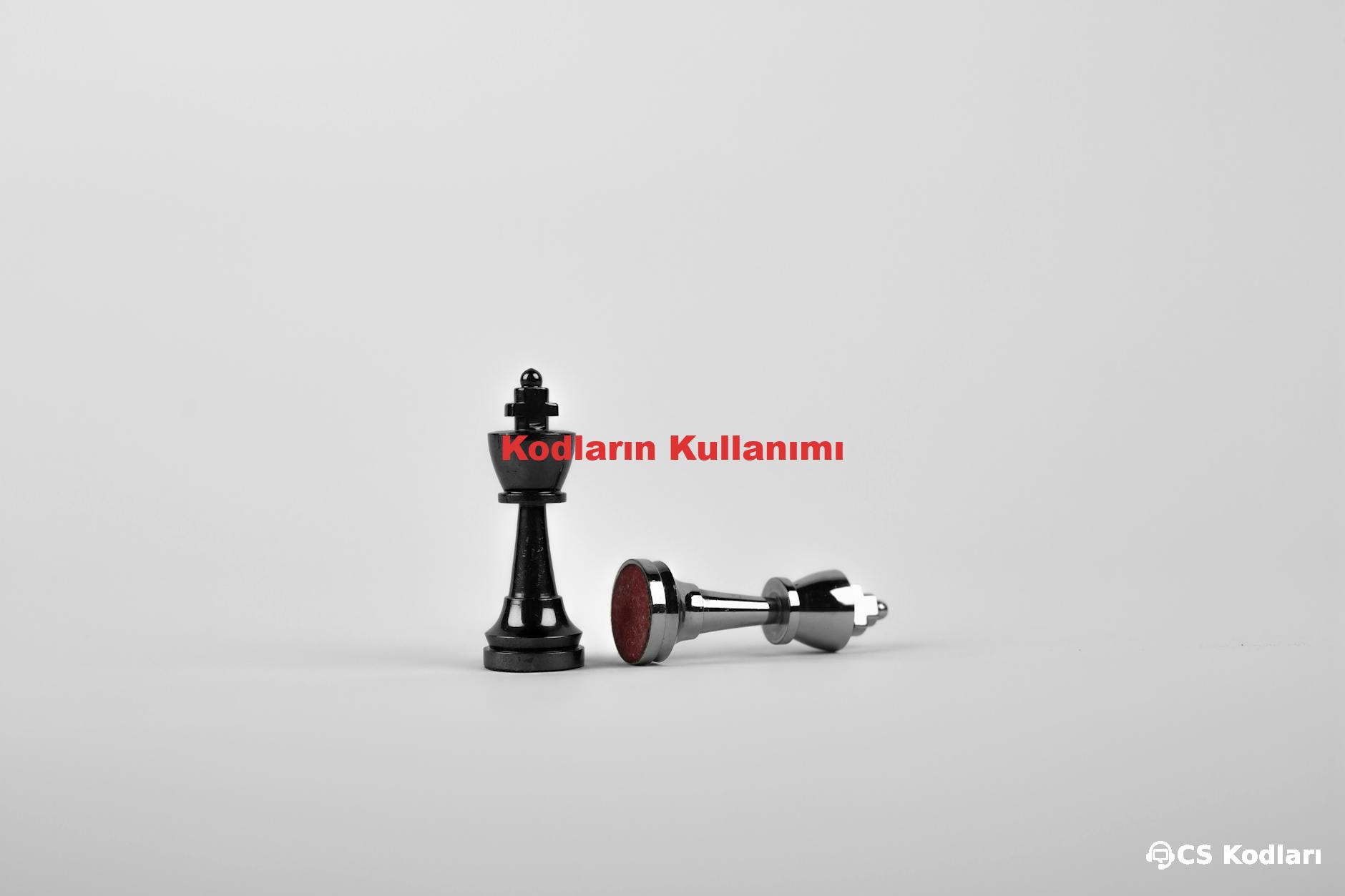 Kodların Kullanımı