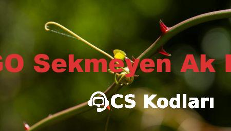 CS:GO Sekmeyen Ak Kodu