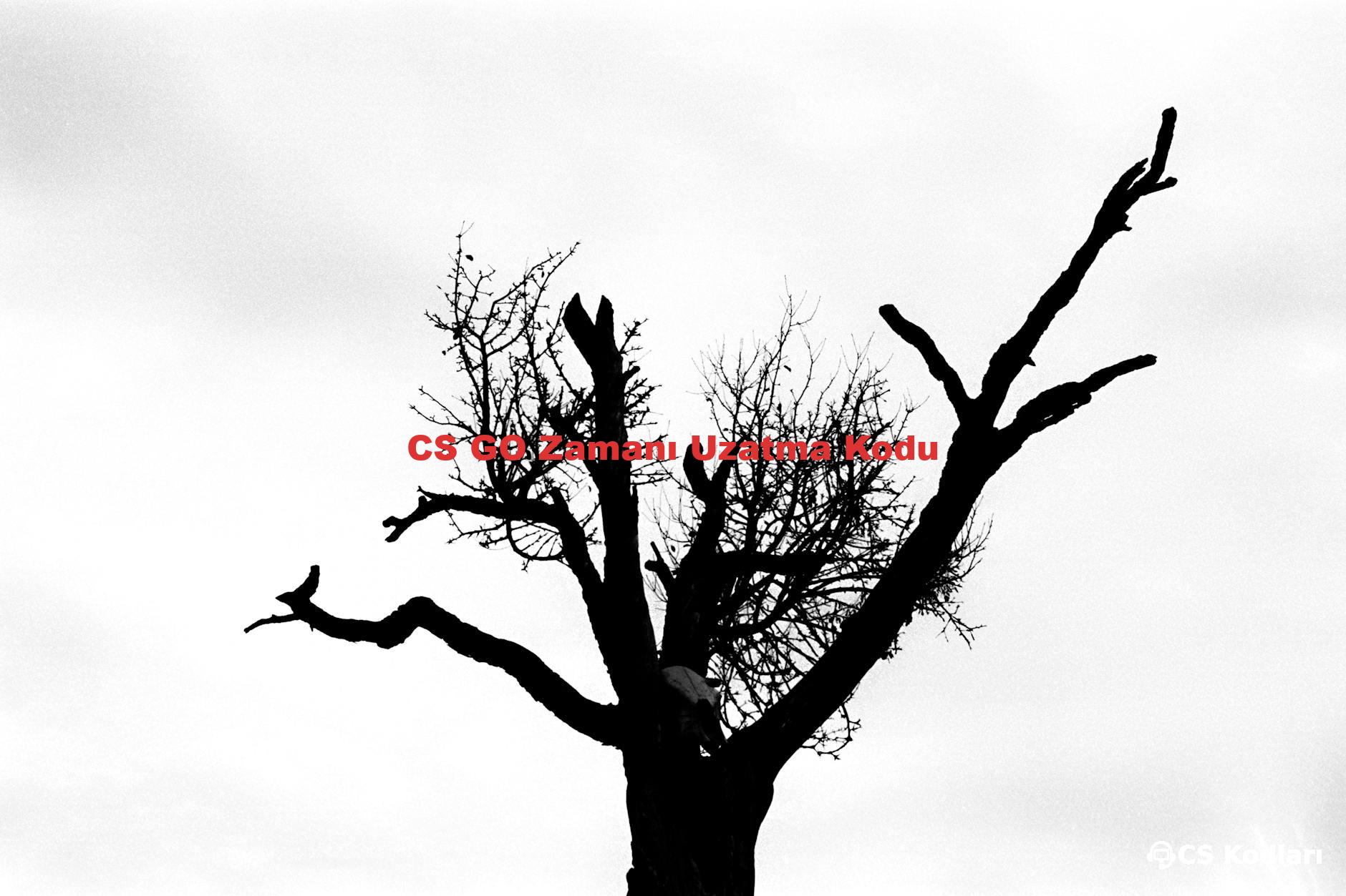 CS GO Zamanı Uzatma Kodu