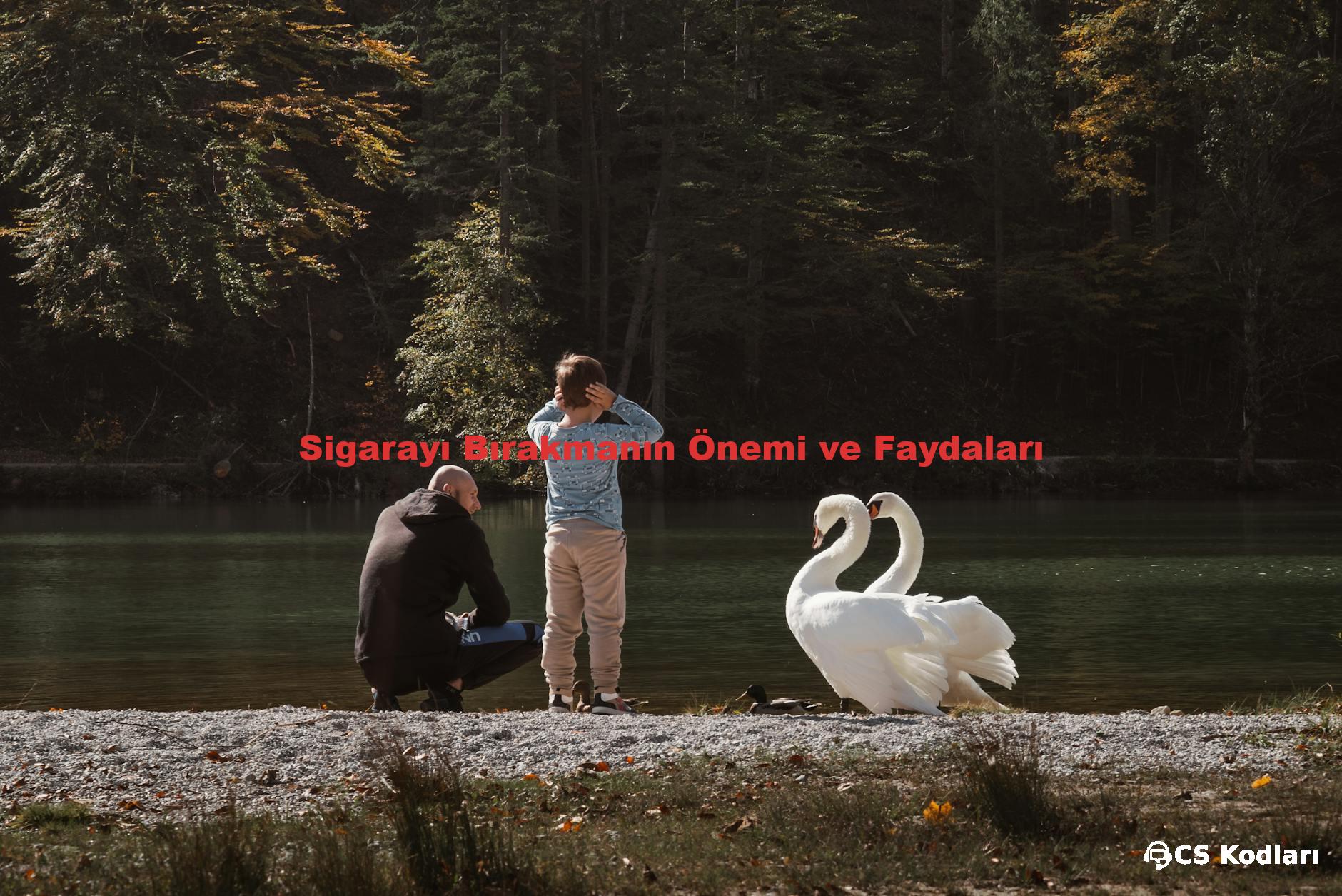 Sigarayı Bırakmanın Önemi ve Faydaları