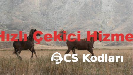 Bayrampaşa’da Hızlı Çekici Hizmeti Nasıl Bulunur?
