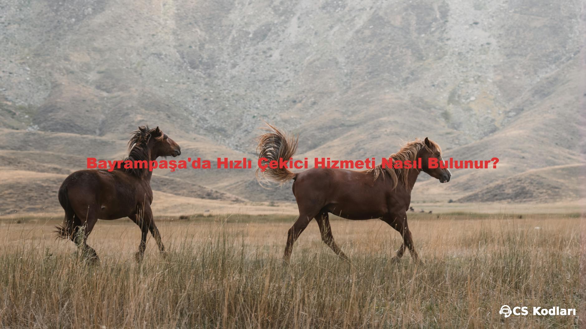 Bayrampaşa'da Hızlı Çekici Hizmeti Nasıl Bulunur?