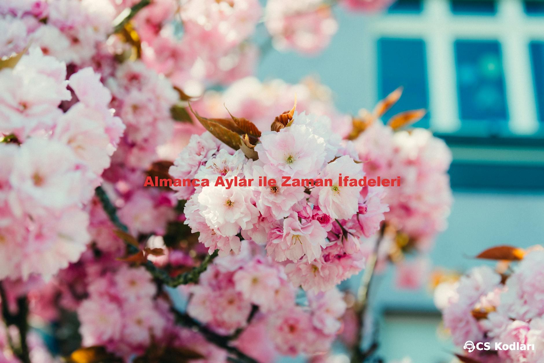Almanca Aylar ile Zaman İfadeleri