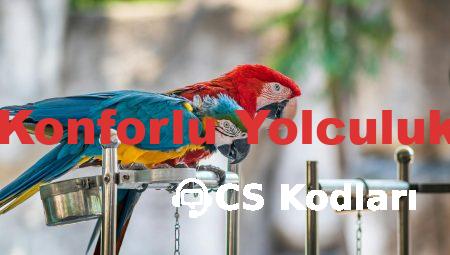 Ara Atkı: Konforlu Yolculuk İçin Şart