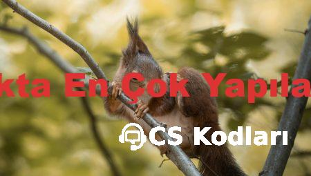 Hurdacılıkta En Çok Yapılan Hatalar