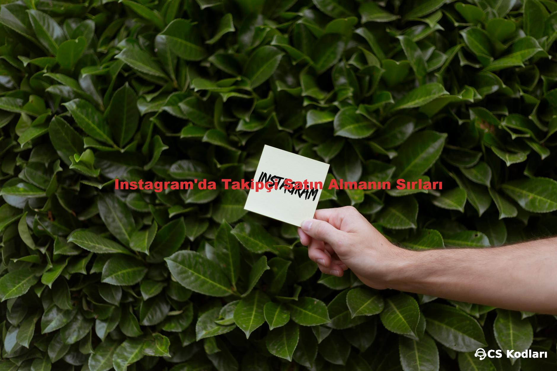 Instagram'da Takipçi Satın Almanın Sırları