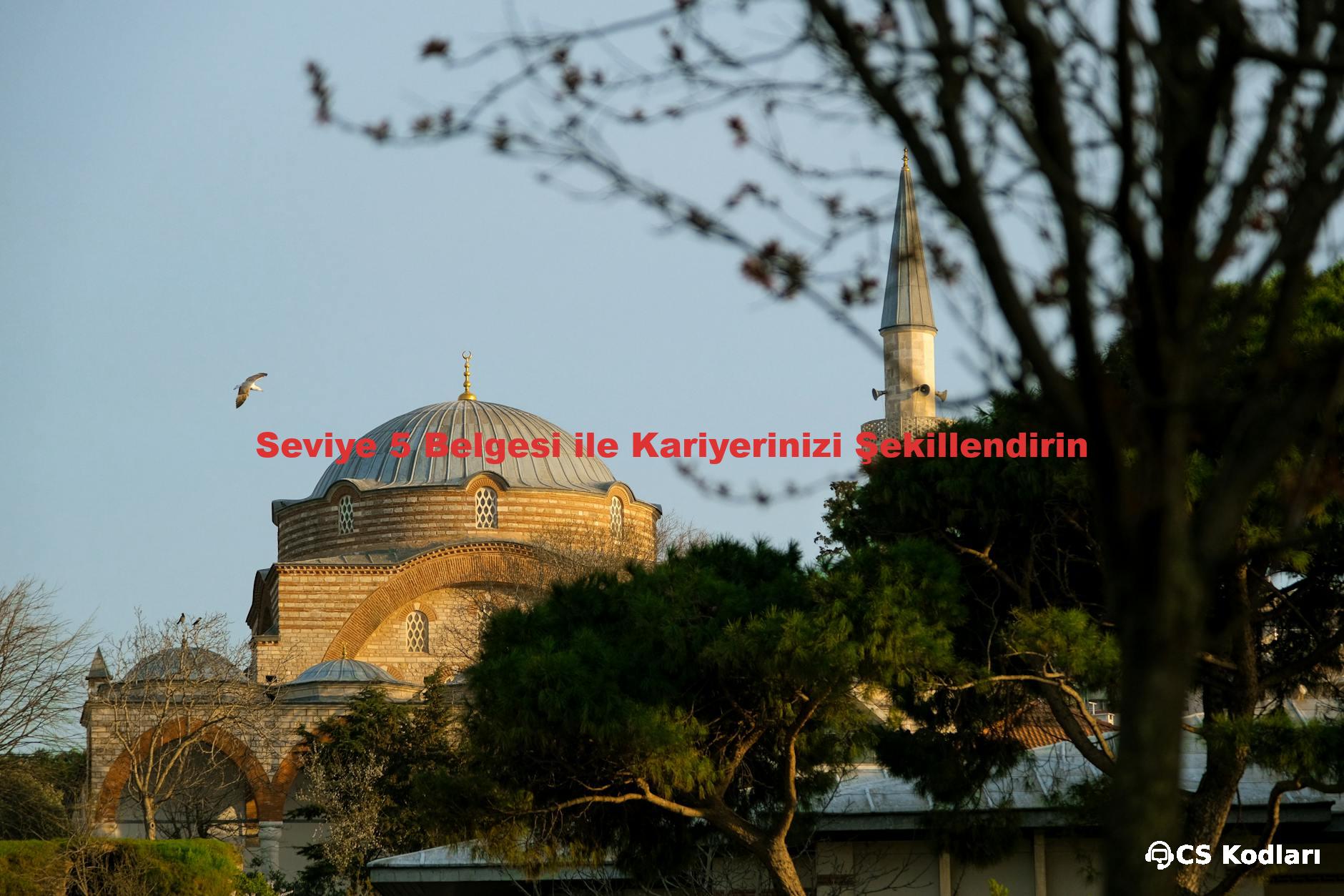 Seviye 5 Belgesi ile Kariyerinizi Şekillendirin