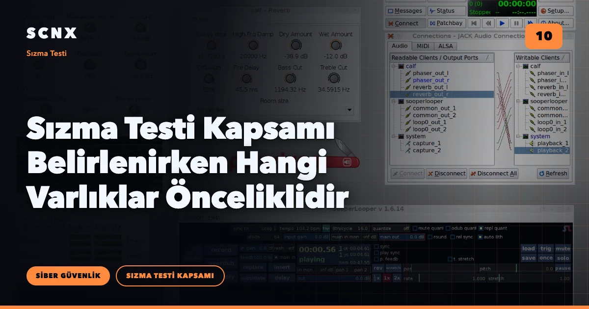 Sızma Testi Kapsamı Belirlenirken Hangi Varlıklar Önceliklidir